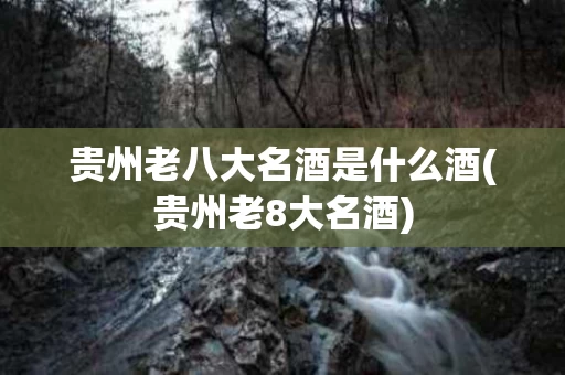贵州老八大名酒是什么酒(贵州老8大名酒)