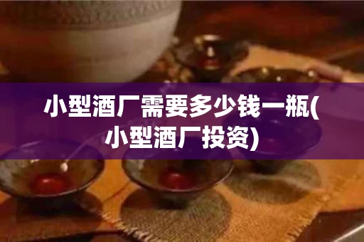 小型酒厂需要多少钱一瓶(小型酒厂投资)