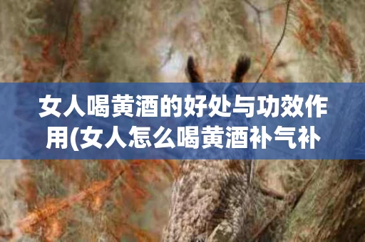 女人喝黄酒的好处与功效作用(女人怎么喝黄酒补气补血)