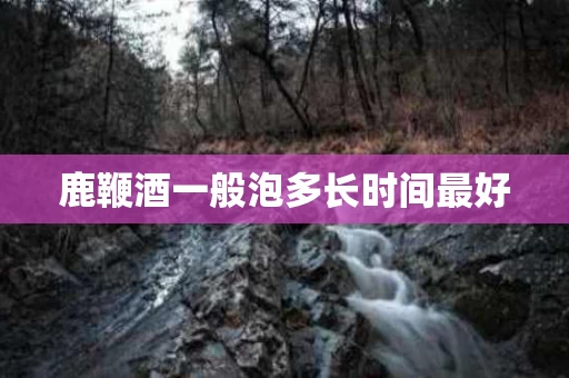鹿鞭酒一般泡多长时间最好