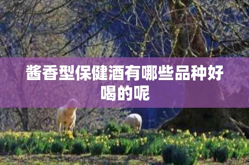酱香型保健酒有哪些品种好喝的呢