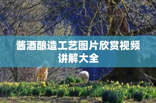 酱酒酿造工艺图片欣赏视频讲解大全