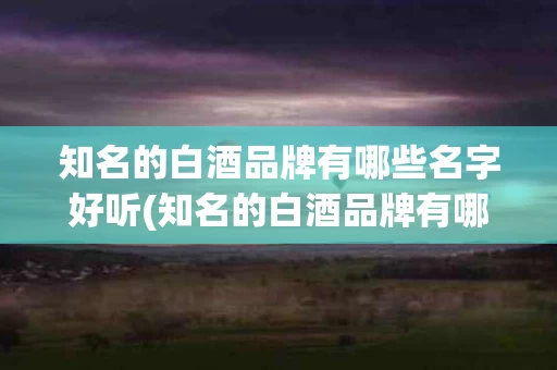 知名的白酒品牌有哪些名字好听(知名的白酒品牌有哪些名字好听一点)
