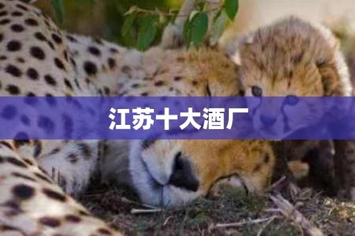 江苏十大酒厂
