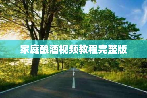 家庭酿酒视频教程完整版
