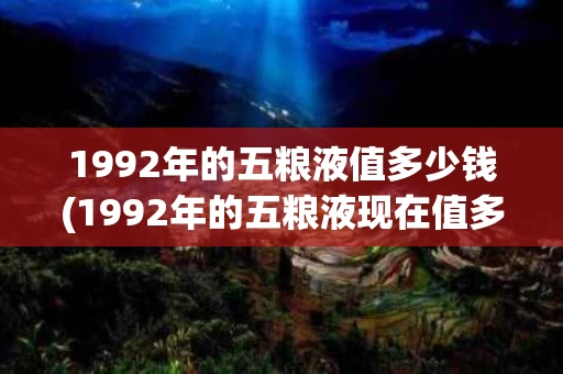 1992年的五粮液值多少钱(1992年的五粮液现在值多少钱)