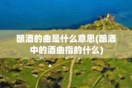 酿酒的曲是什么意思(酿酒中的酒曲指的什么)