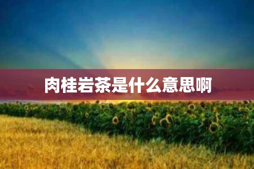 肉桂岩茶是什么意思啊