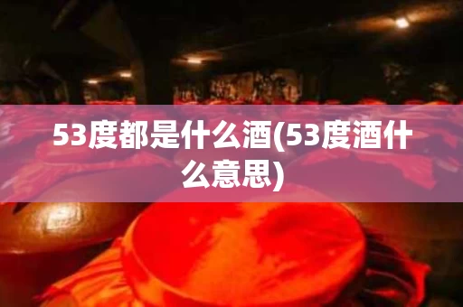 53度都是什么酒(53度酒什么意思)