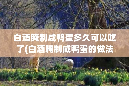 白酒腌制咸鸭蛋多久可以吃了(白酒腌制咸鸭蛋的做法需要泡多长时间)