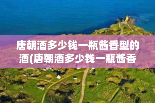 唐朝酒多少钱一瓶酱香型的酒(唐朝酒多少钱一瓶酱香型的酒呢)