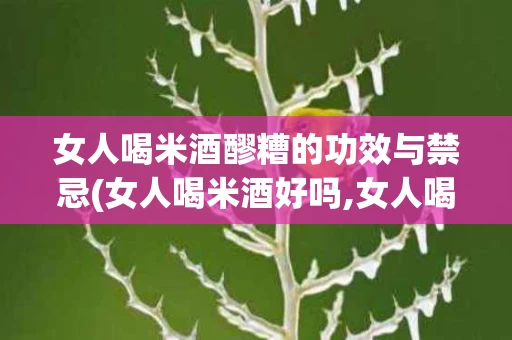 女人喝米酒醪糟的功效与禁忌(女人喝米酒好吗,女人喝米酒还有这样的功效)