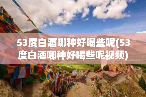 53度白酒哪种好喝些呢(53度白酒哪种好喝些呢视频)