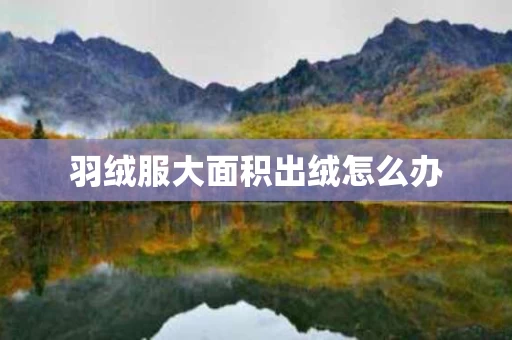 羽绒服大面积出绒怎么办