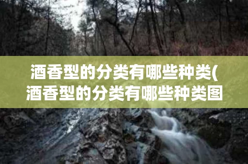 酒香型的分类有哪些种类(酒香型的分类有哪些种类图片)