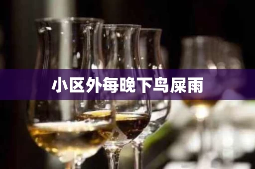 小区外每晚下鸟屎雨