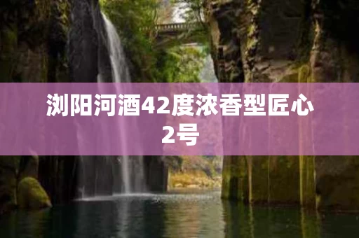 浏阳河酒42度浓香型匠心2号
