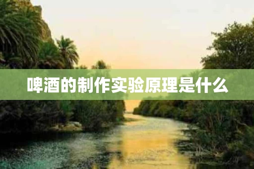 啤酒的制作实验原理是什么