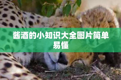 酱酒的小知识大全图片简单易懂