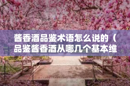 酱香酒品鉴术语怎么说的（品鉴酱香酒从哪几个基本维度进行评价）