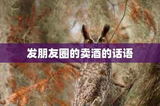 发朋友圈的卖酒的话语