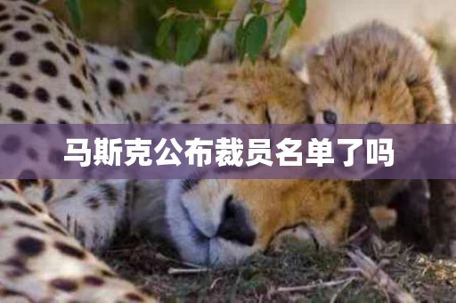 马斯克公布裁员名单了吗
