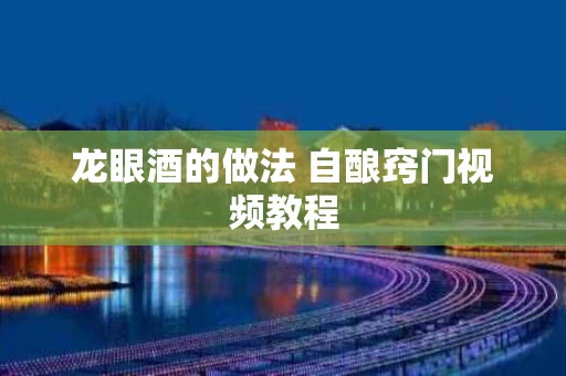 龙眼酒的做法 自酿窍门视频教程