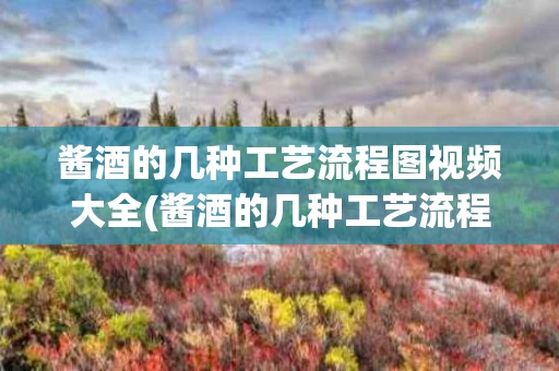 酱酒的几种工艺流程图视频大全(酱酒的几种工艺流程图视频大全教程)