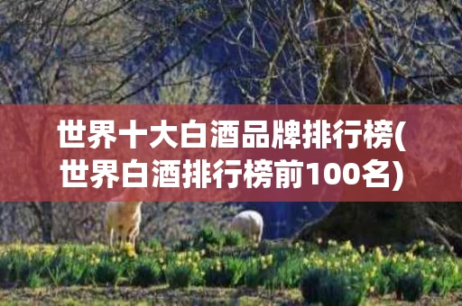 世界十大白酒品牌排行榜(世界白酒排行榜前100名)