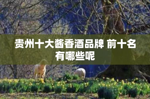 贵州十大酱香酒品牌 前十名有哪些呢