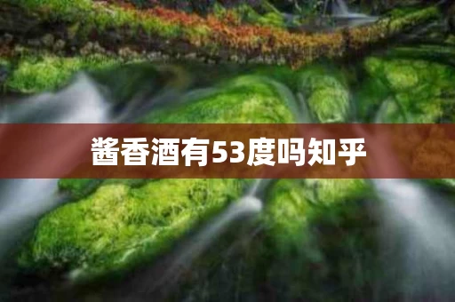 酱香酒有53度吗知乎