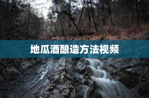 地瓜酒酿造方法视频