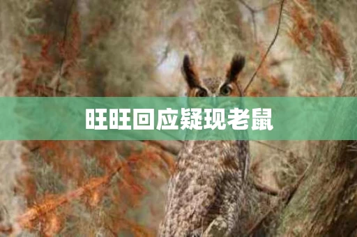 旺旺回应疑现老鼠