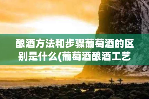 酿酒方法和步骤葡萄酒的区别是什么(葡萄酒酿酒工艺流程教学视频)