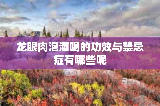 龙眼肉泡酒喝的功效与禁忌症有哪些呢 龙眼肉泡酒喝的功效与禁忌症有哪些呢