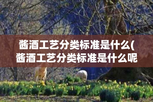 酱酒工艺分类标准是什么(酱酒工艺分类标准是什么呢)