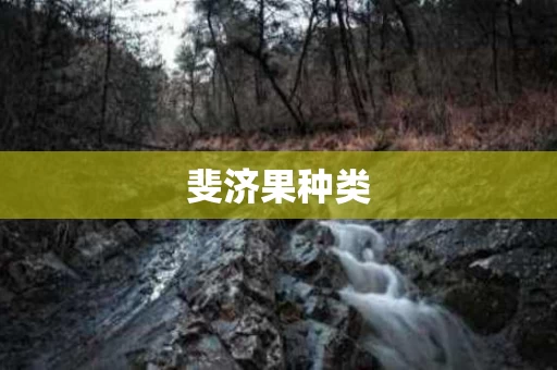 斐济果种类