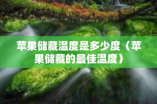 苹果储藏温度是多少度（苹果储藏的最佳温度）