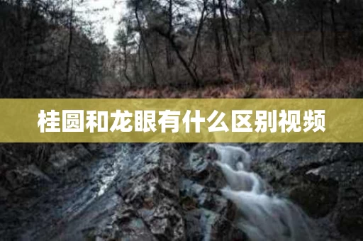 桂圆和龙眼有什么区别视频