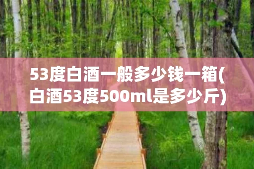 53度白酒一般多少钱一箱(白酒53度500ml是多少斤)