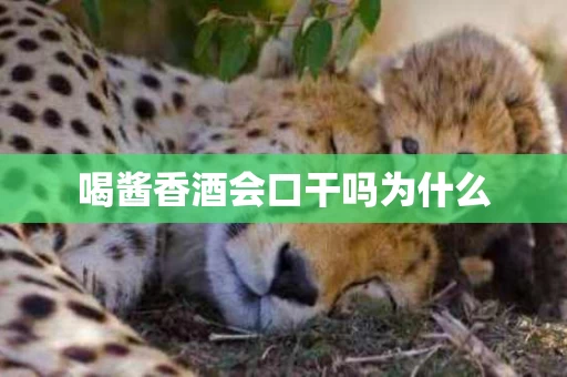 喝酱香酒会口干吗为什么