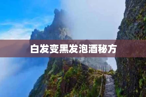 白发变黑发泡酒秘方