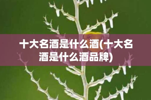 十大名酒是什么酒(十大名酒是什么酒品牌)