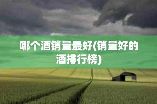 哪个酒销量最好(销量好的酒排行榜)