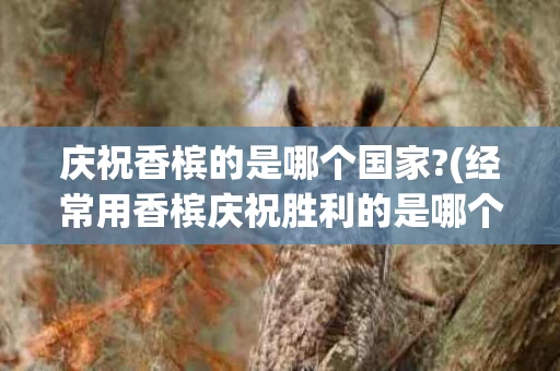 庆祝香槟的是哪个国家?(经常用香槟庆祝胜利的是哪个国家)
