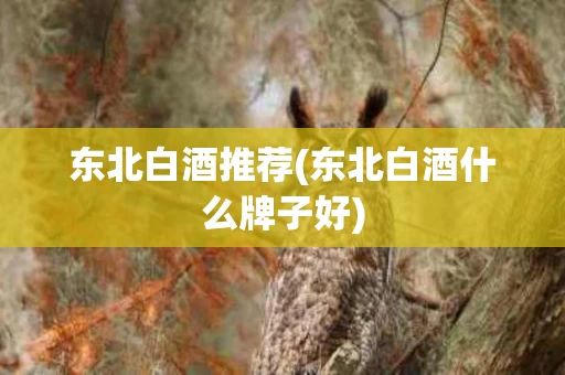东北白酒推荐(东北白酒什么牌子好)