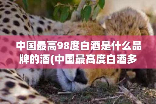 中国最高98度白酒是什么品牌的酒(中国最高度白酒多少度)