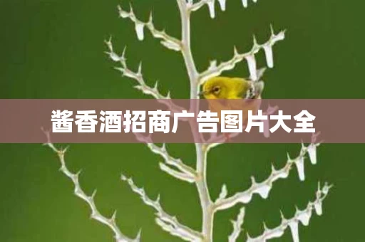 酱香酒招商广告图片大全
