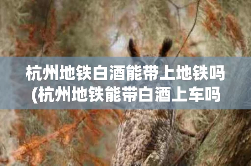杭州地铁白酒能带上地铁吗(杭州地铁能带白酒上车吗?)