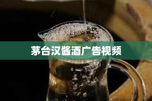 茅台汉酱酒广告视频